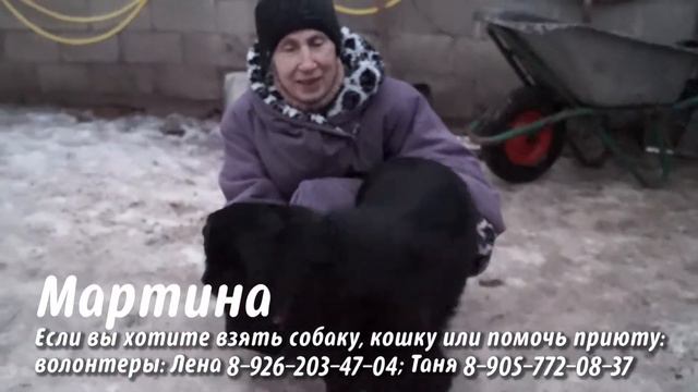 Приют на ул. Зорге смотреть онлайн