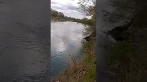 Дагестан электроудочники