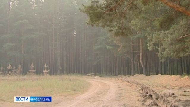 Ярославцам рассказали, как не попасть на штраф за шашлык смотреть онлайн