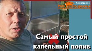 Самый простой капельный полив. Пропитка для дерева свои руками. "Мое Подворье"