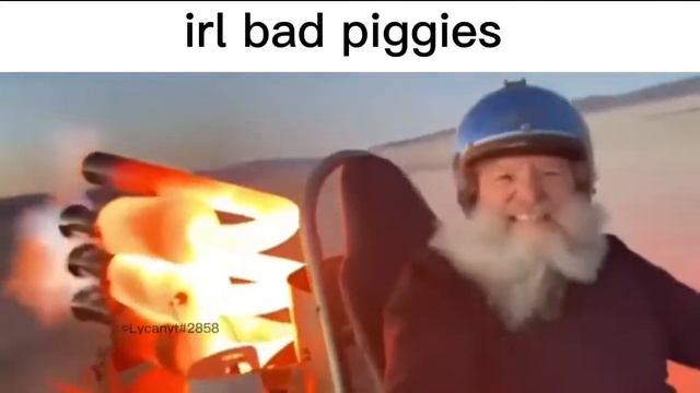 Irl bad piggies смотреть онлайн