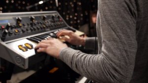 Tango Alpha Tango - White Sugar (Live on KEXP)