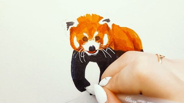 Малая Панда-Одно из Самых Милых Животных! Рисуем Маркерами! Легко и Просто!