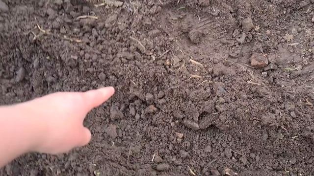 Урожай МОРКОВИ, ЛУКА планируем собирать мешками. Посадка моркови и лука весной (14.05.2021). С.29