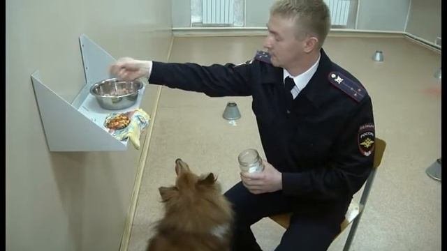 Эксперты-криминалисты отмечают профессиональный праздник