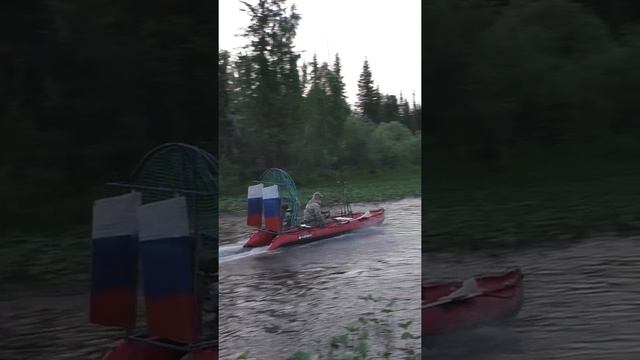 1307 Аэролодка идет даже по Белокопытнику #дмитрийяков #аэролодка #аэробот #airboat #тайга #рыбалка