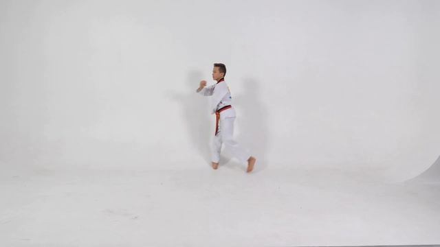 Техника Тхэквондо/ВАЖНО ЗНАТЬ/Комплекс #5 смотреть онлайн