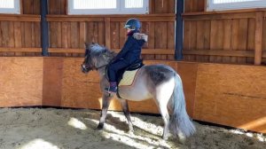 Детское занятие на лошади в клубе «Прованс» в Ясенево