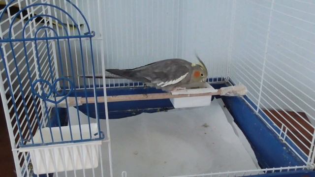 АМЕРИКА Наше УТРО перед школой ГОД СПУСТЯ/ Что в рюкзаке у Лизы/ идея ЛАНЧА смотреть онлайн