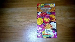 Эшшольция, смесь окрасок, махровая - ознакомление