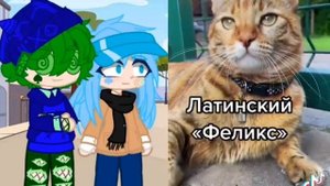 Как звучит слова кошка на разных языках