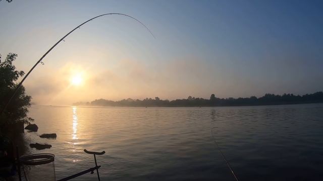 НА ФИДЕР КЛЕВ ЕСТЬ ВСЕГДА. ЛОВЛЯ ФИДЕРОМ ЛЕТОМ НА БЕШЕННОМ ТЕЧЕНИИ. КАПЛИЦА. смотреть онлайн