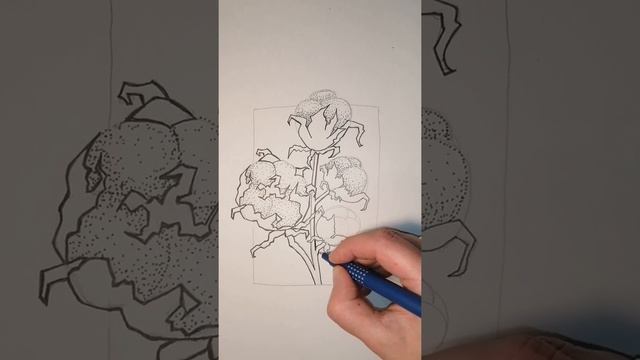 Рисование растений. Хлопок. смотреть онлайн