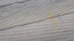 #Как шьют шубы из меха норки в роспуск#