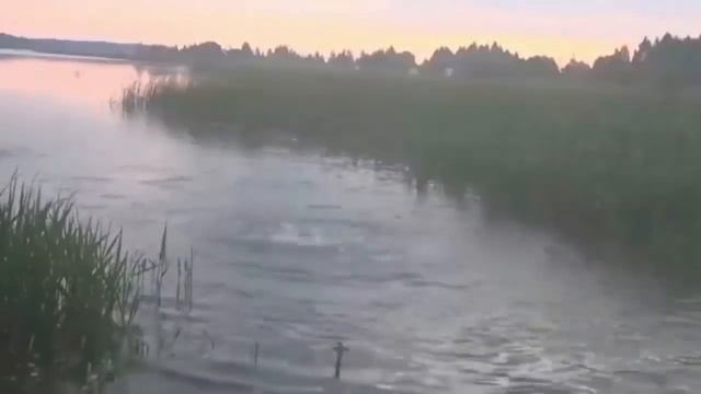 Подборка приколов на РЫБАЛКЕ! это просто умора !Рыбалка! смотреть онлайн