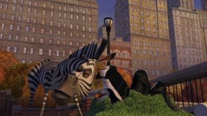 Мадагаскар   Марти знакомится с пингвинами