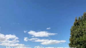 🙏🪗Песня ,,Прощайте друг друга."  Brat Bruder.