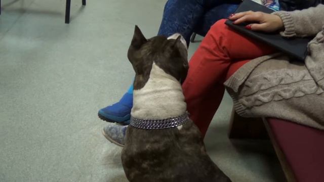 Из первых моих съёмок смотреть онлайн