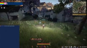 Black Desert Online. Качаемся с нуля