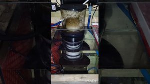 Вентури: устройство, принцип работы, эксплуатация скиммера.