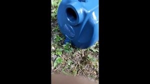 Центробежный насос Pedrollo 5CPm100 I