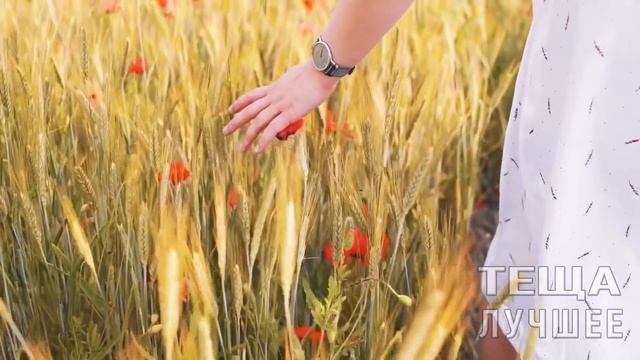 ПОЩУПАЛА и ПОНЯЛА - ПАРНЮ ПОРА ВЗРОСЛЕТЬ - ТЕЩА-ЗЯТЬ | ЛЮБОВНЫЕ ИСТОРИИ | ИСТОРИИ ИЗ ЖИЗНИ