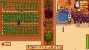 Stardew Valley | Первое посещение Имбирного острова | Прохождение #49