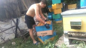 Как правильно хранить рамки чтобы сохранить на следующий сезон пчеловодства.