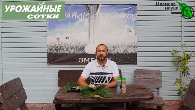 ПОЛЕЙТЕ ЭТИМ СЕЙЧАС ОГУРЦЫ И СОБИРАЙТЕ ХОТЬ ДО МОРОЗОВ! Моховая бродиловка. Моховой жидкий компост.