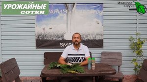 ПОЛЕЙТЕ ЭТИМ СЕЙЧАС ОГУРЦЫ И СОБИРАЙТЕ ХОТЬ ДО МОРОЗОВ! Моховая бродиловка. Моховой жидкий компост.