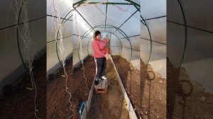 Санитарная обработка теплицы.