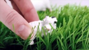 ДОМАШНИЕ И ДИКИЕ ЖИВОТНЫЕ - ИЗУЧАЕМ ФЕРМУ