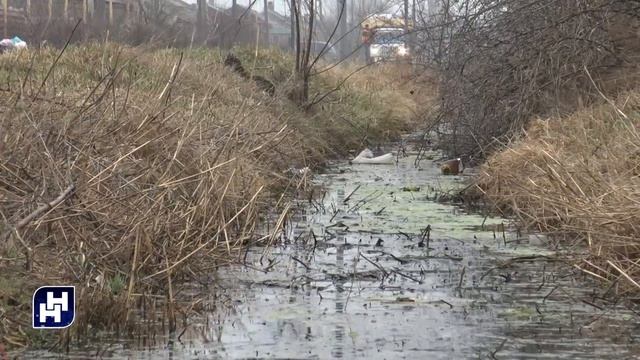 Наша неделя. Пролетарск 05.03.22 смотреть онлайн