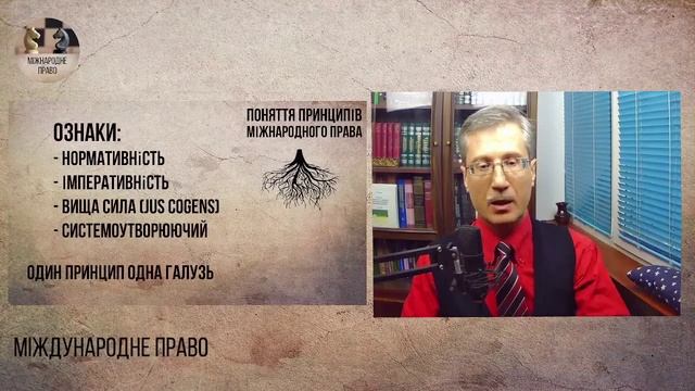 Поняття принципів міжнародного права