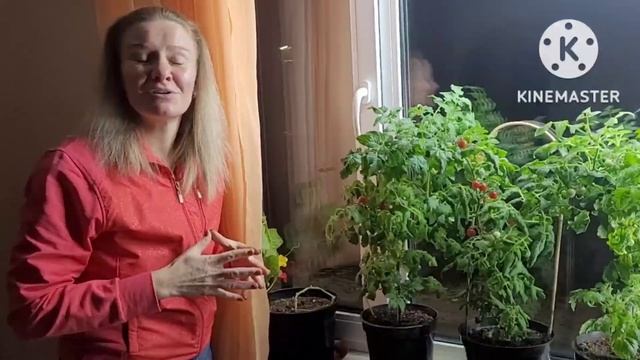 Огород на подоконнике. Опыт и советы Ани про огород круглый год смотреть онлайн