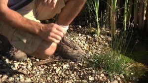 Пруд по американской технологии | ПРУД ПРУДИ