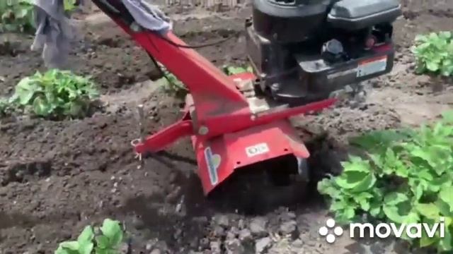 Окучивание картошки мотоблоком 2021