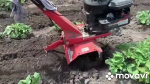Окучивание картошки мотоблоком 2021