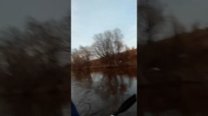 РЫБАЛКА НА РЕКЕ НИЦА