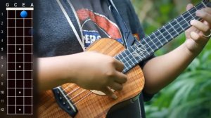 Amazing Grace (Solo Ukulele) - Ukulele Play-Along!