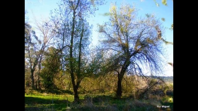 2º Forum HRV 2015 Fotos 2 смотреть онлайн