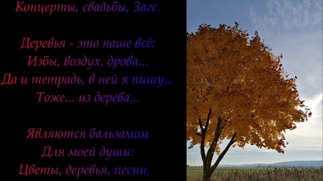 "Я сравниваю часто песни и цветы" Эдуард Шнайдер. Читает: автор смотреть онлайн