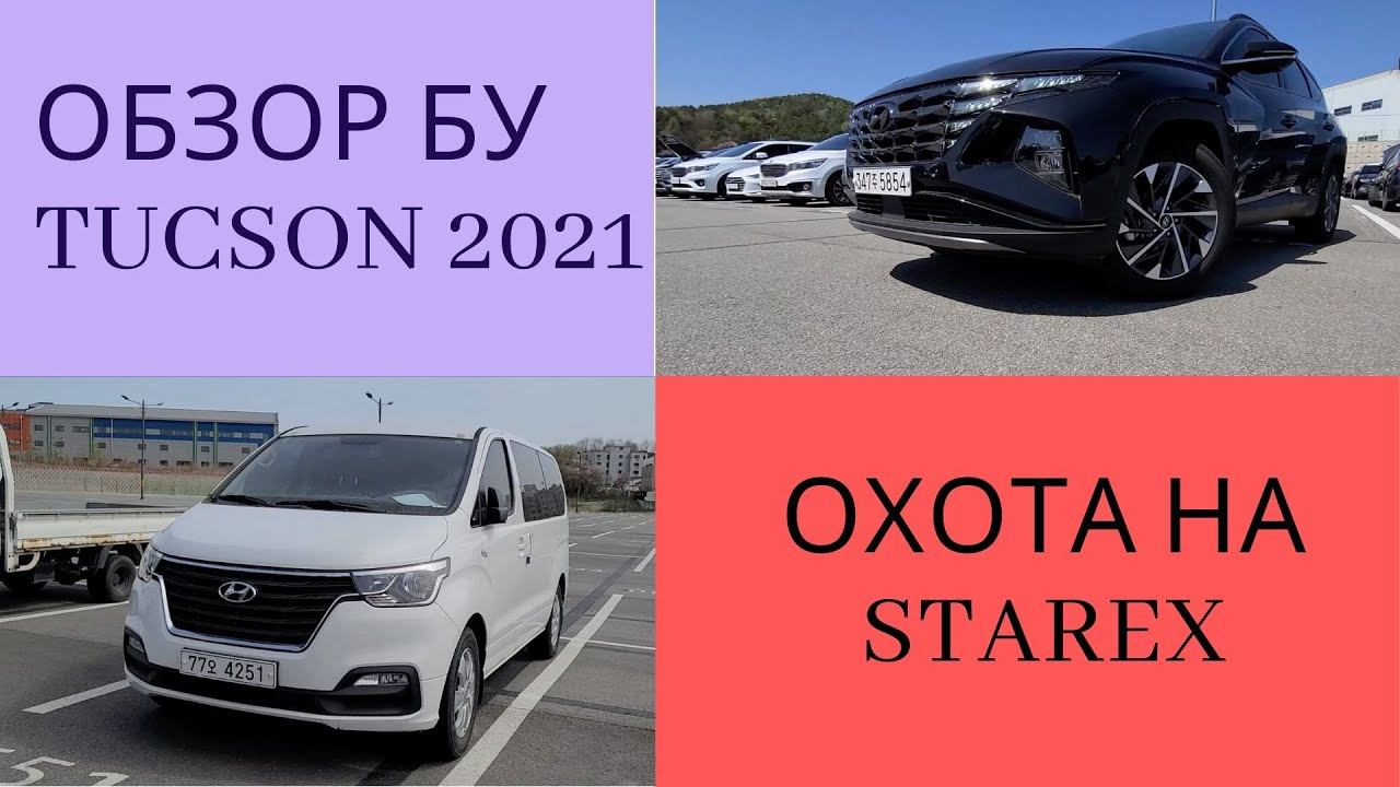 Авто из Кореи. Обзоры бу авто Tucson 2021, Starex на аукционах Lotte и AJ Sellcar смотреть онлайн