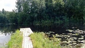 Река Шола. Третий посёлок.