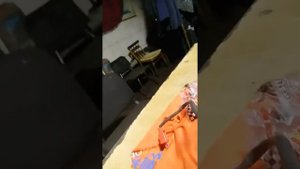 ирбис динго т150 карбюратор