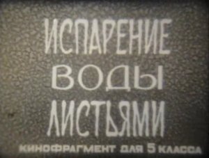 Испарение воды листьями