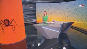 Жители Таганрога борются с нашествием зеленых комаров / События на ТВЦ
