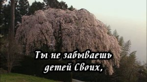 Бог любви - христианская песня, поёт  Ксения Лапицкая.