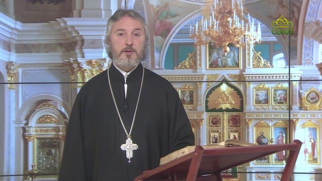 Церковный календарь 11 апреля. Преподобный Иоанн Египетский, пустынник