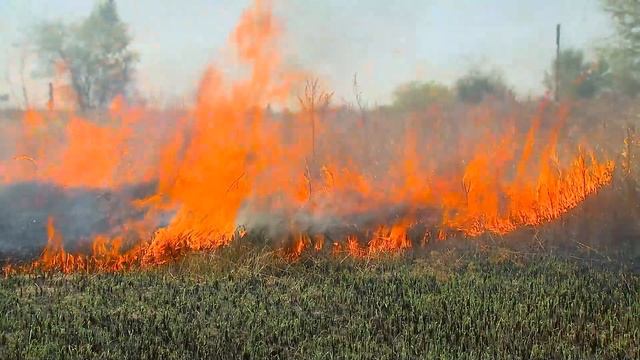 Эксперимент от МЧС Бурятии. В Улан-Удэ провели урок по пожарной безопасности смотреть онлайн